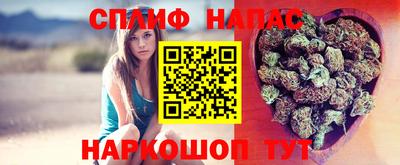 кокс Бийск