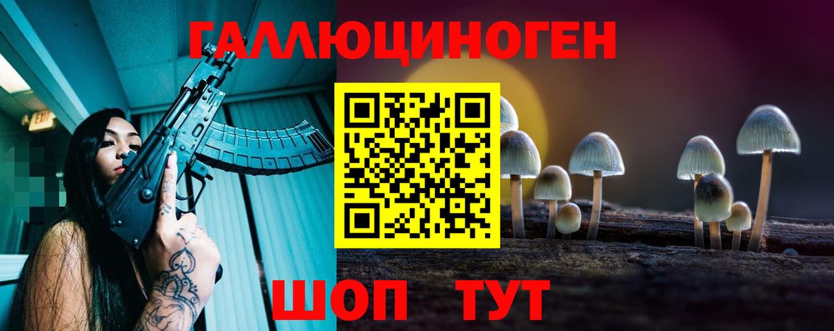 Псилоцибиновые грибы мицелий Ивантеевка
