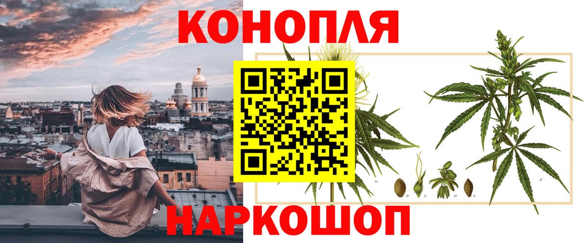 Бошки марихуана OG Kush Ивантеевка
